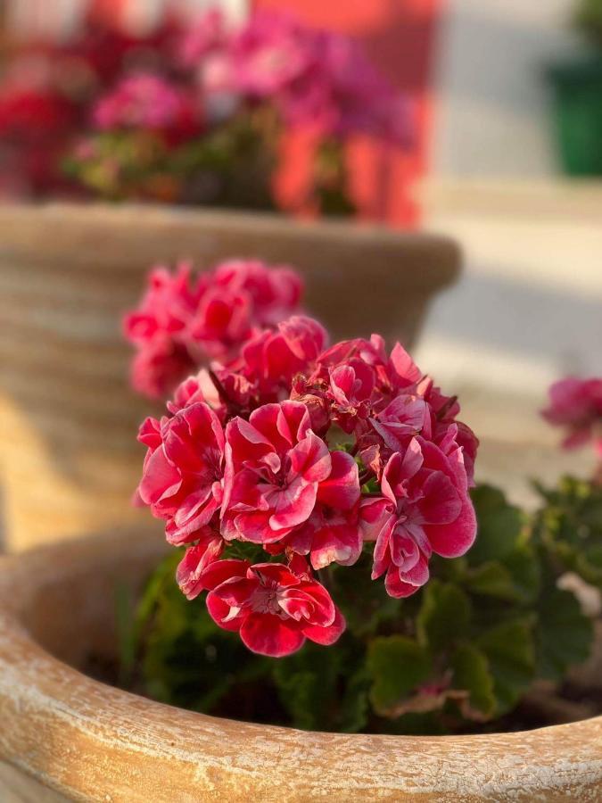Karavos Hotel Портариа Екстериор снимка